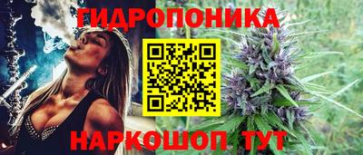 мескалин Можга